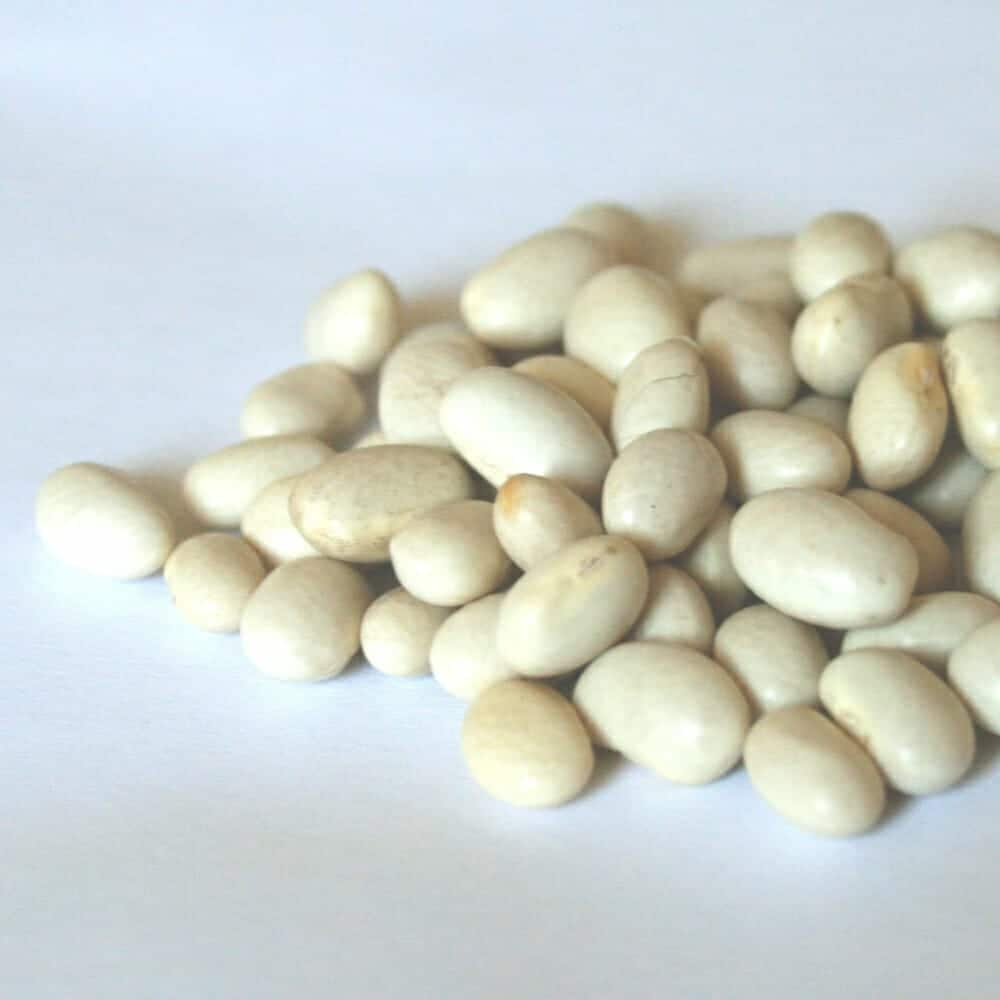 100 Pure White Kidney Bean Extract 1200mg 60 Capsules TerraForm