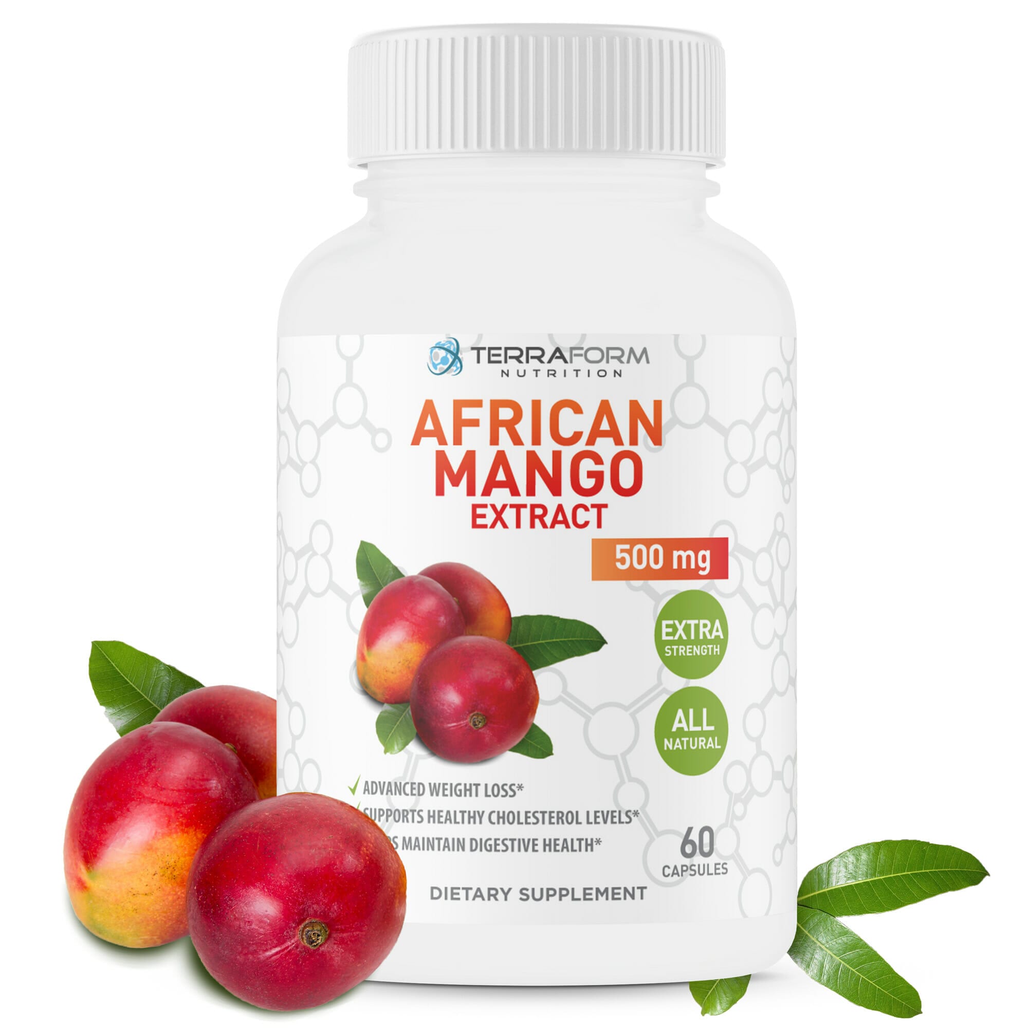 Pure African Mango Extract 500mg 60 Capsules TerraForm Nutrition