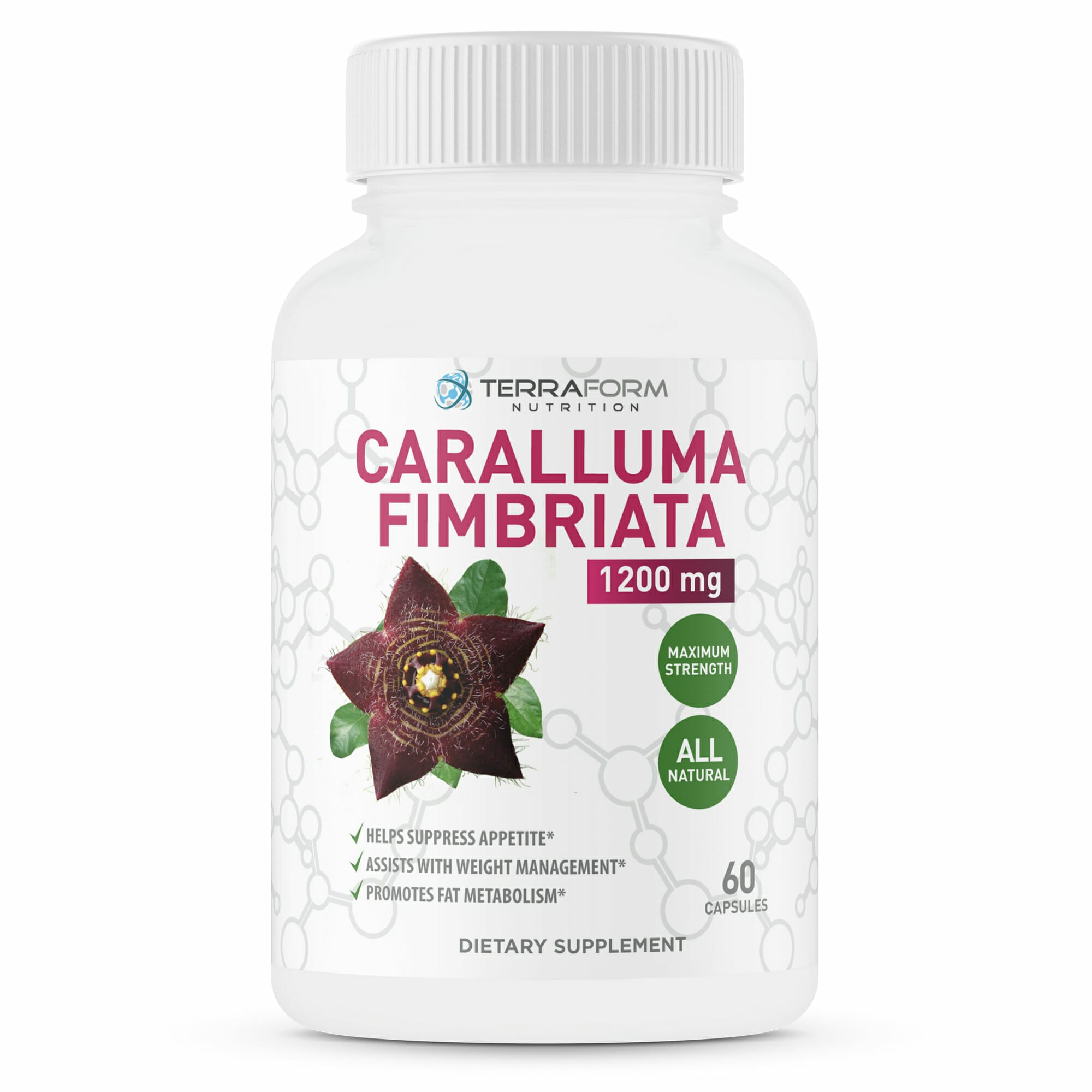 Caralluma Fimbriata 1200mg Max Strength 60 Capsules TerraForm