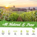 Glucosamine Complex with MSM, Turmeric, Collagen & More - 90 Count - Image 6